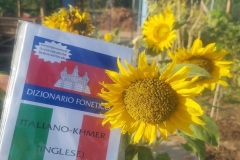 dizionario_03