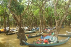 fotogallery_11