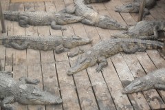 fotogallery_13