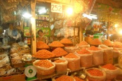 fotogallery_14