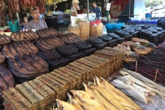 fotogallery_15
