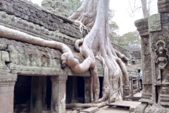 fotogallery_19