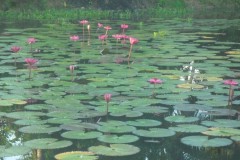 fotogallery_23