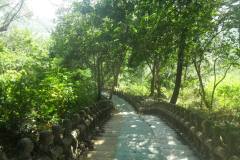 fotogallery_27
