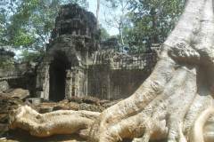 fotogallery_33
